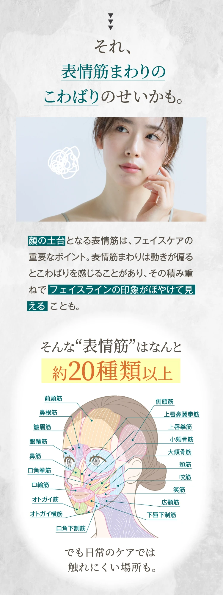 それ、表情筋まわりのこわばりのせいかも そんな表情筋はなんと約20種類以上
