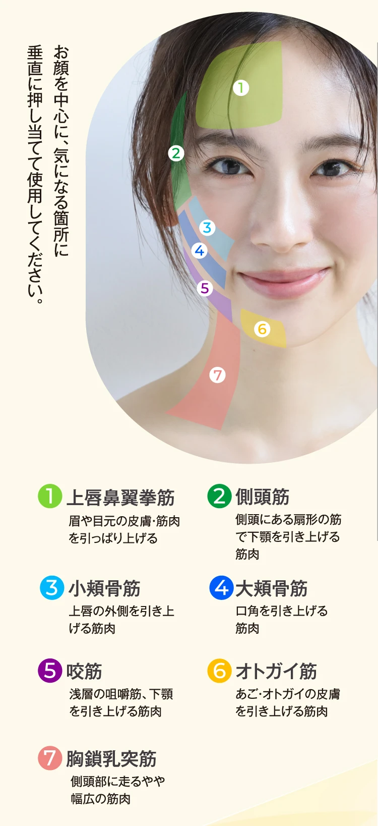 お顔を中心に、気になる箇所に垂直に押し当てて使用してください