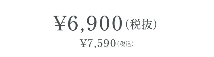 眼精ピロー 製品価格