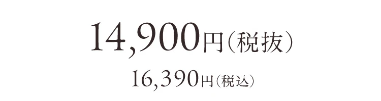 14,900円(税抜) 16,390円(税込)