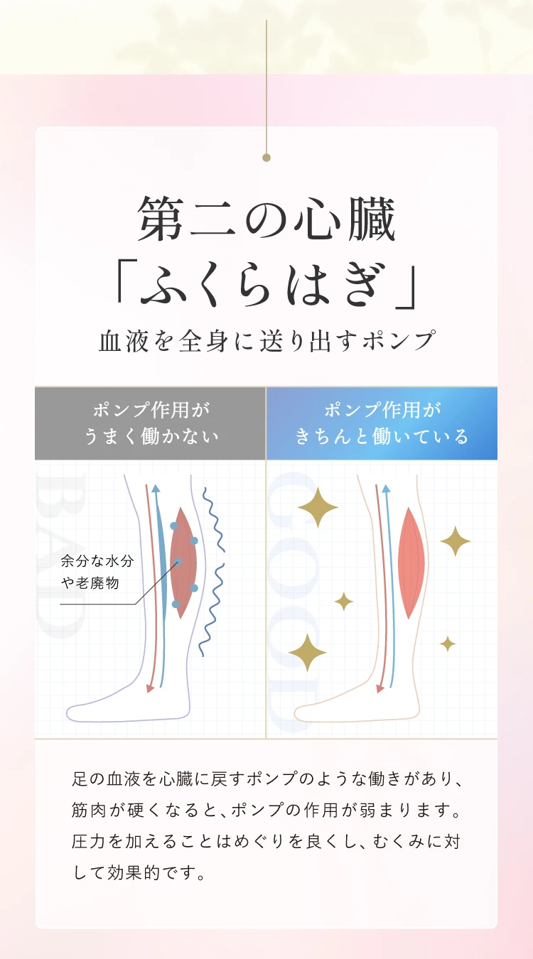 ふくらはぎとは、血液を全身に送り出す第二の心臓として重要な部位です。