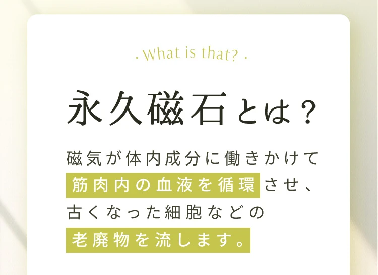 永久磁石とは？磁気が体内成分に働きかけて筋肉内の血液を循環させ、古くなった細胞などの老廃物を流します