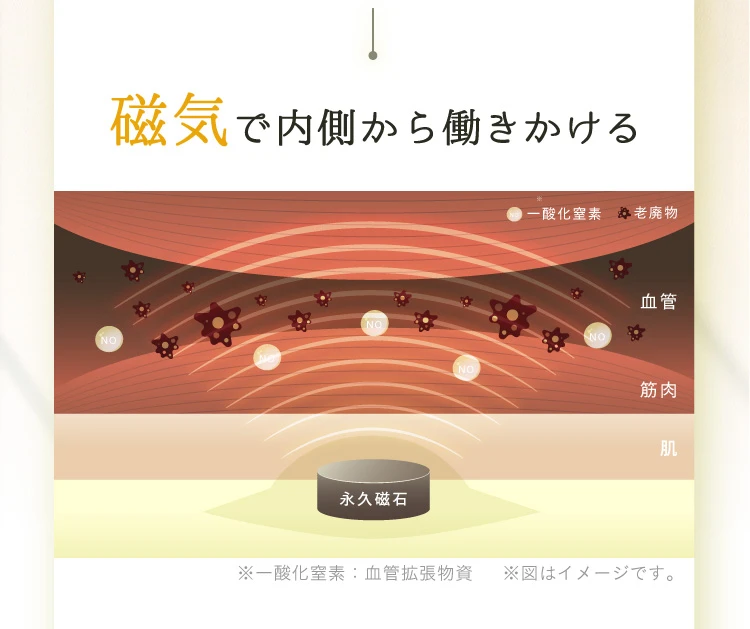 磁気で内側から働きかける