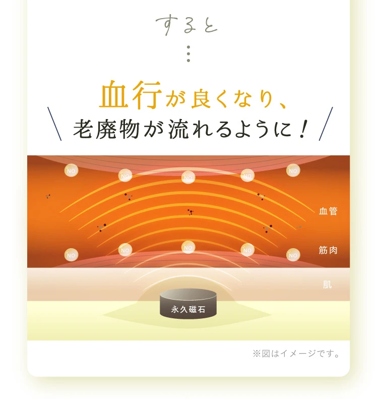 血行が良くなり、老廃物が流れるように