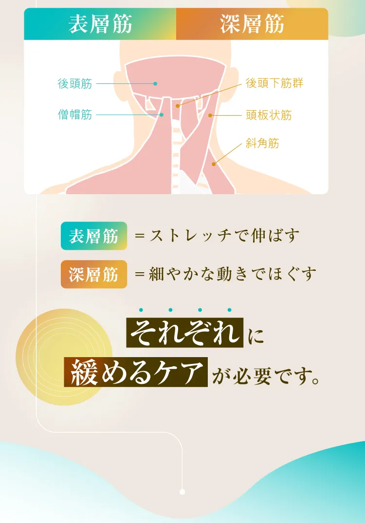 一番のポイントは、複雑な首の筋肉を適切にほぐせるよう整体師の手技を再現した設計