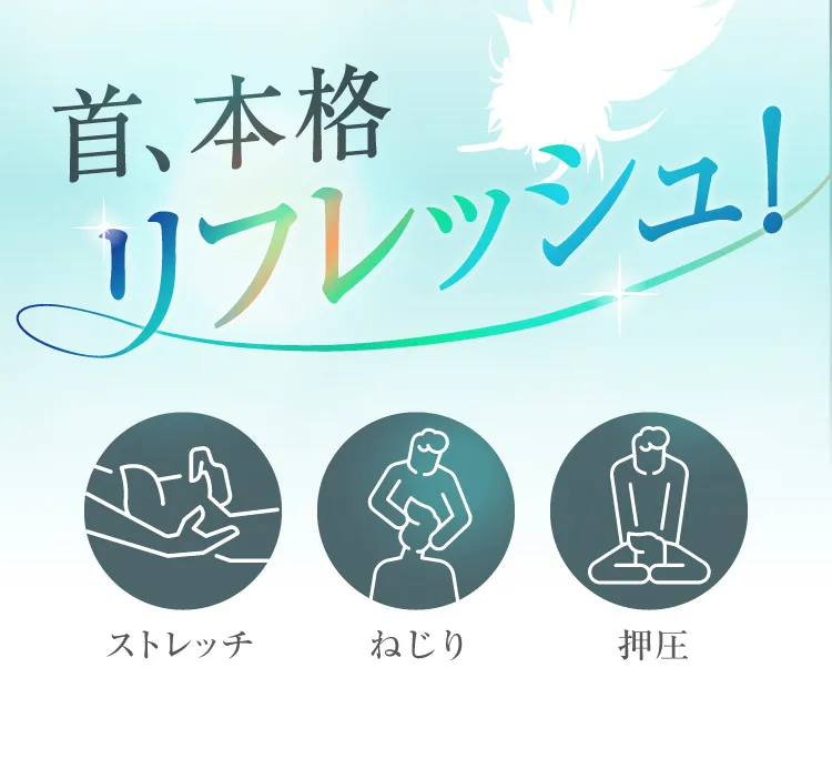 ストレッチ形状で首表面をしっかり伸ばす