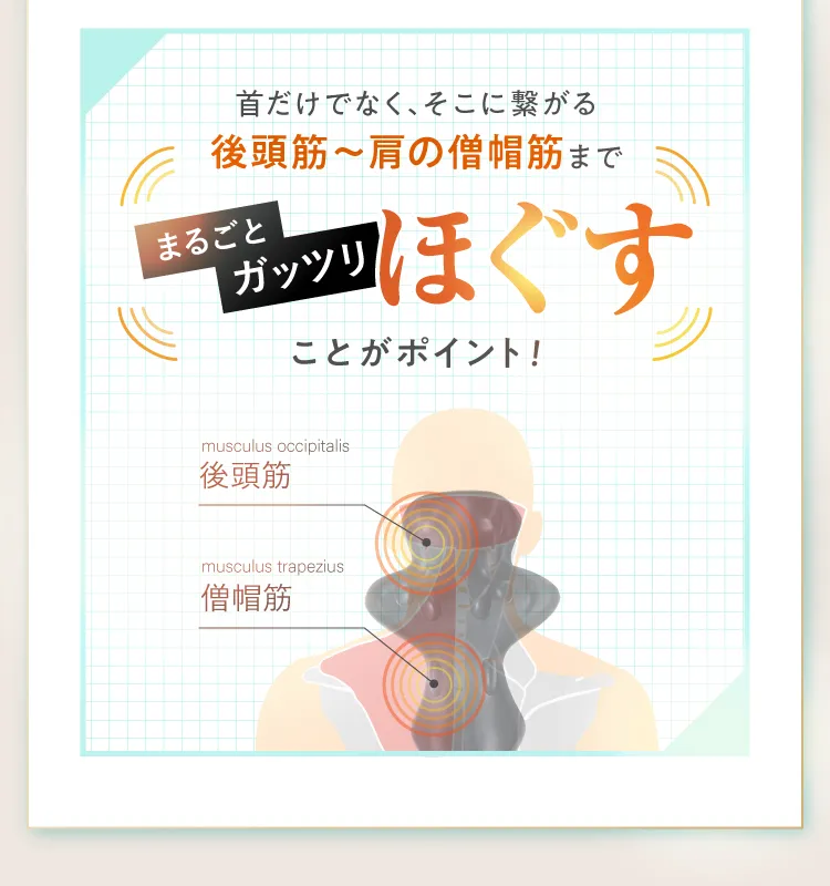 首だけでなく、そこに繋がる後頭筋から肩の僧帽筋までまるごとガッツリほぐすことがポイント！自力では届きにくい深層筋までアプローチ