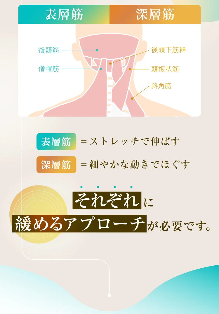 表層筋はストレッチで伸ばし、深層筋は細やかな動きでほぐす、それぞれ緩めるアプローチが必要です。