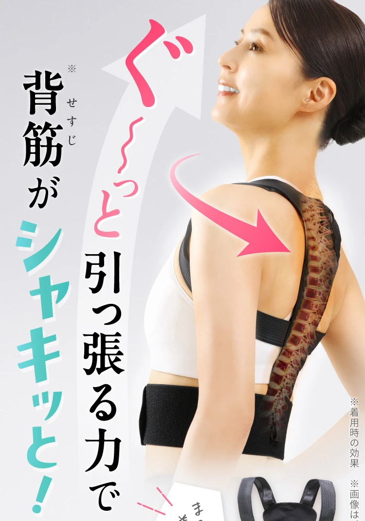 ぐ～っと引っ張る力で背筋がシャキッと！