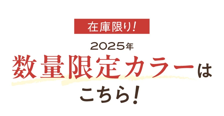 在庫限り！2025年数量限定カラーはこちら！