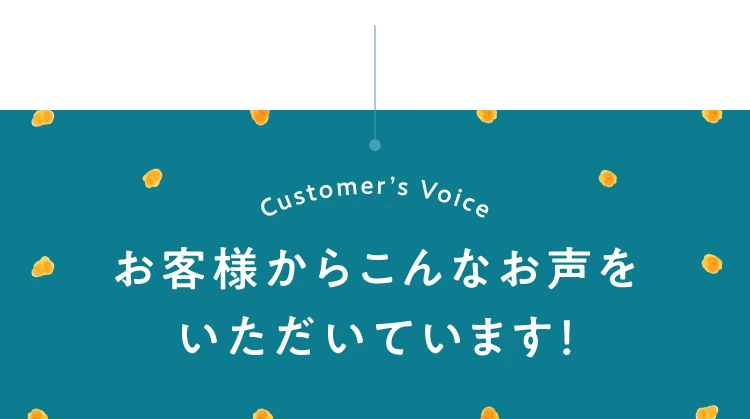 お客様からこんなお声をいただいています