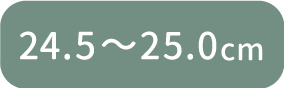24.5〜25.0cm