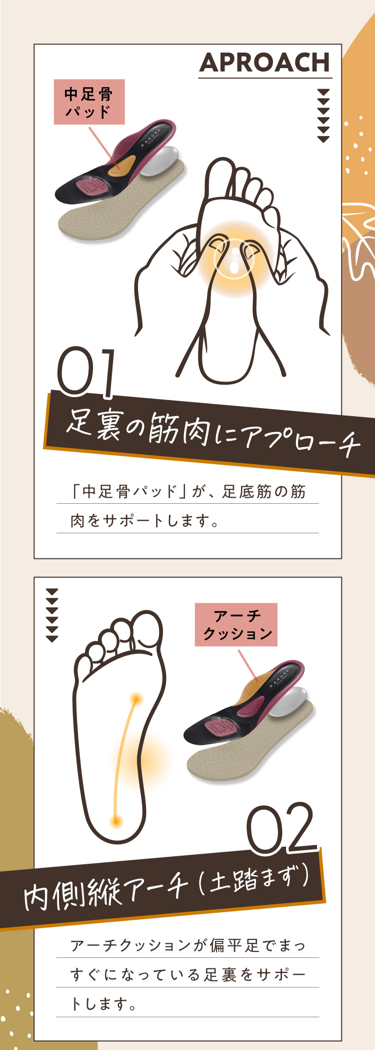 足裏の筋肉にアプローチ 内側縦アーチ