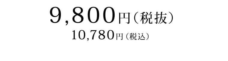 カラー整体パンプス　商品価格