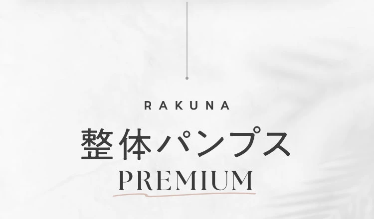 整体パンプスプレミアム