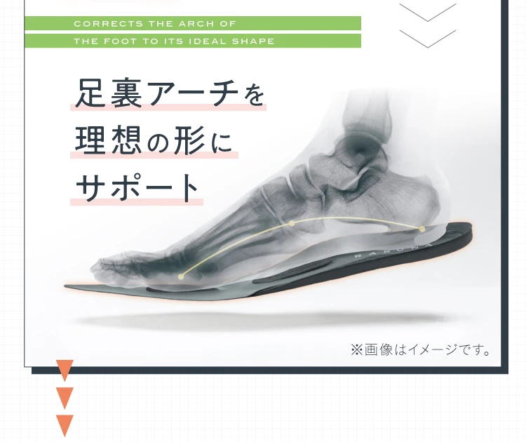 足裏アーチを理想の形にサポート