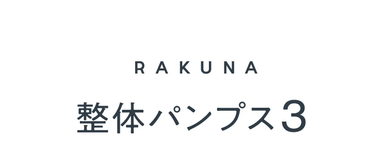 整体パンプス3