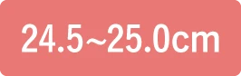 24.5〜25.0cm