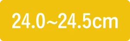 24.0〜24.5cm