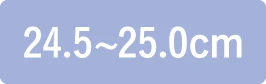 24.5〜25.0cm