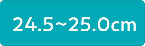 24.5～25.0cm