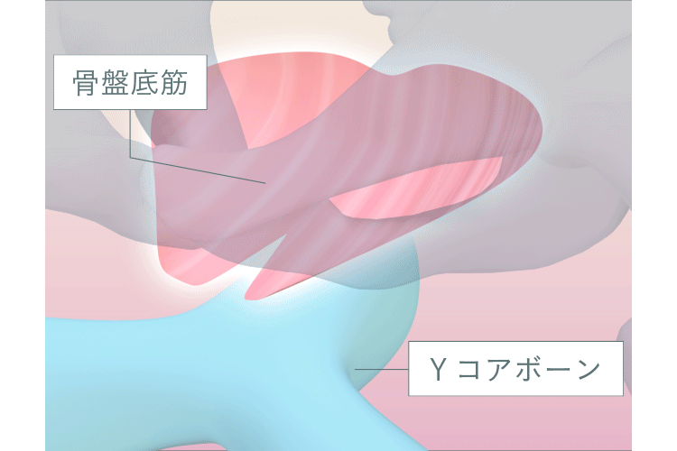 イメージ動画