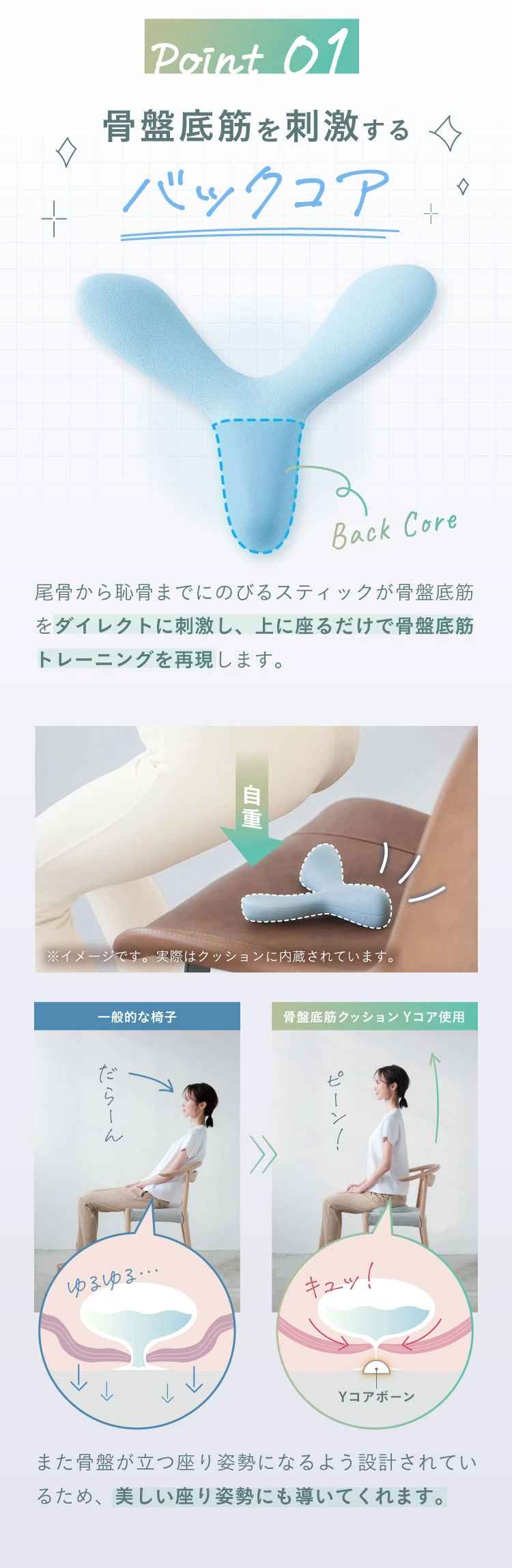 骨盤底筋クッション Yコア sara24 (サラニーヨン) | amepla