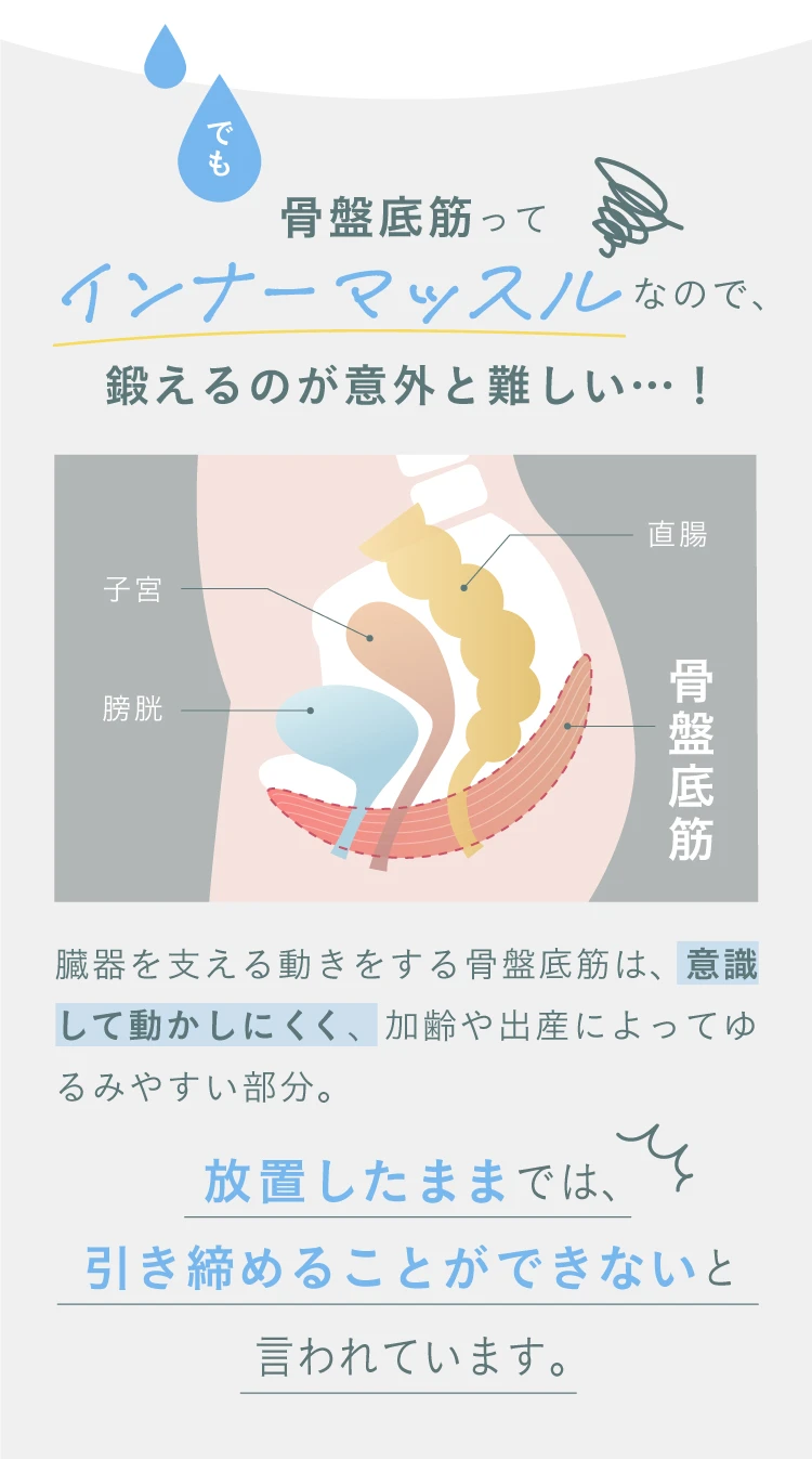 骨盤底筋ってインナーマッスルなので、鍛えるのが意外と難しい