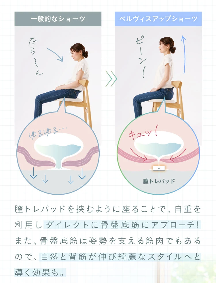 一般的なショーツとペルヴィスアップショーツの比較
