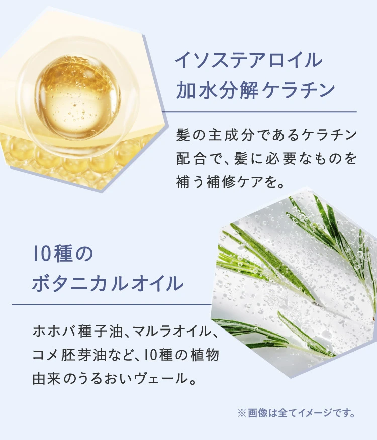 成分後半2つ