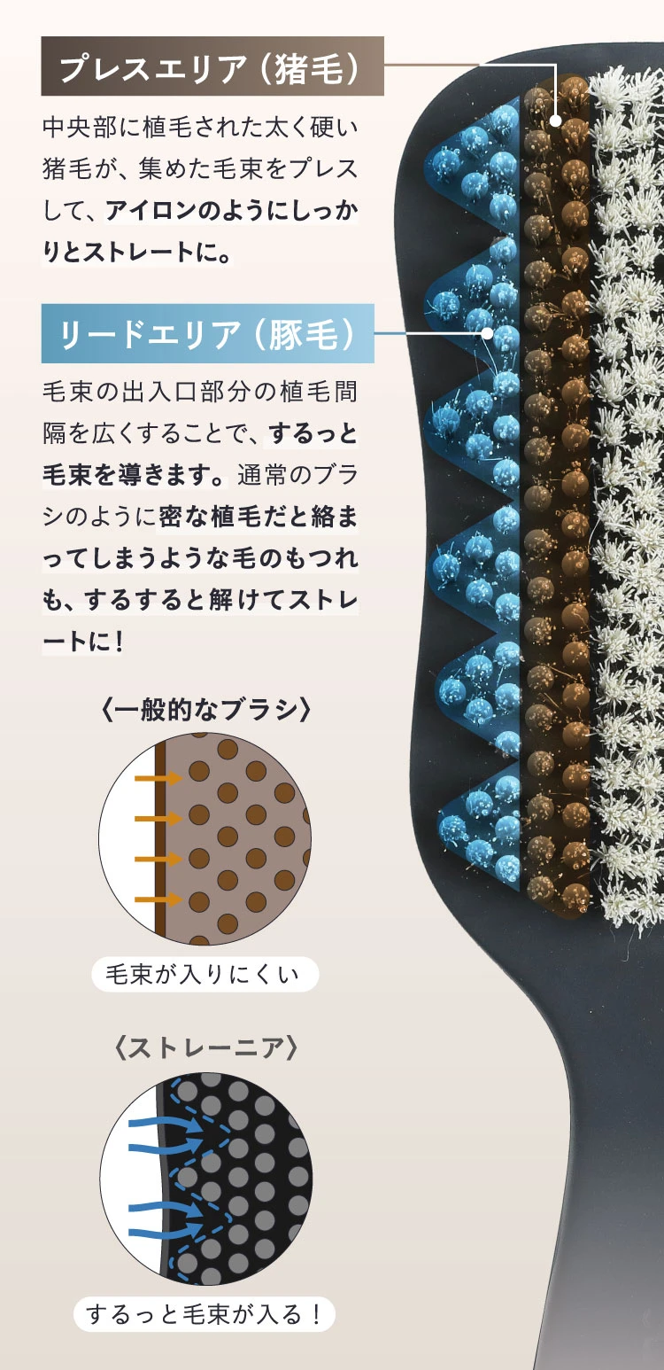 ブラシの仕組み