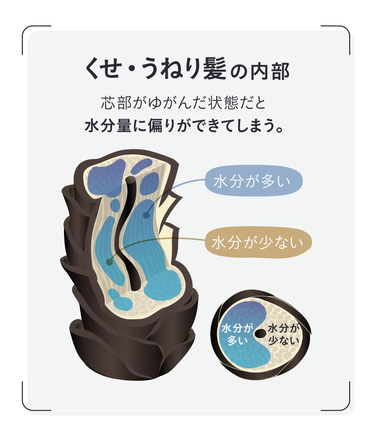 ケアストレートシャンプー strainia (ストレーニア) | amepla