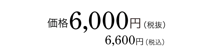 価格 6,000円(税抜)6,600円(税込)
