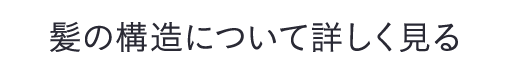 髪の構造について詳しく見る