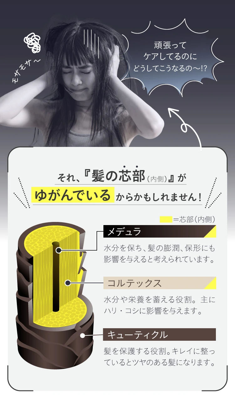 ケアストレートシャンプー+ケアストレートトリートメントセット