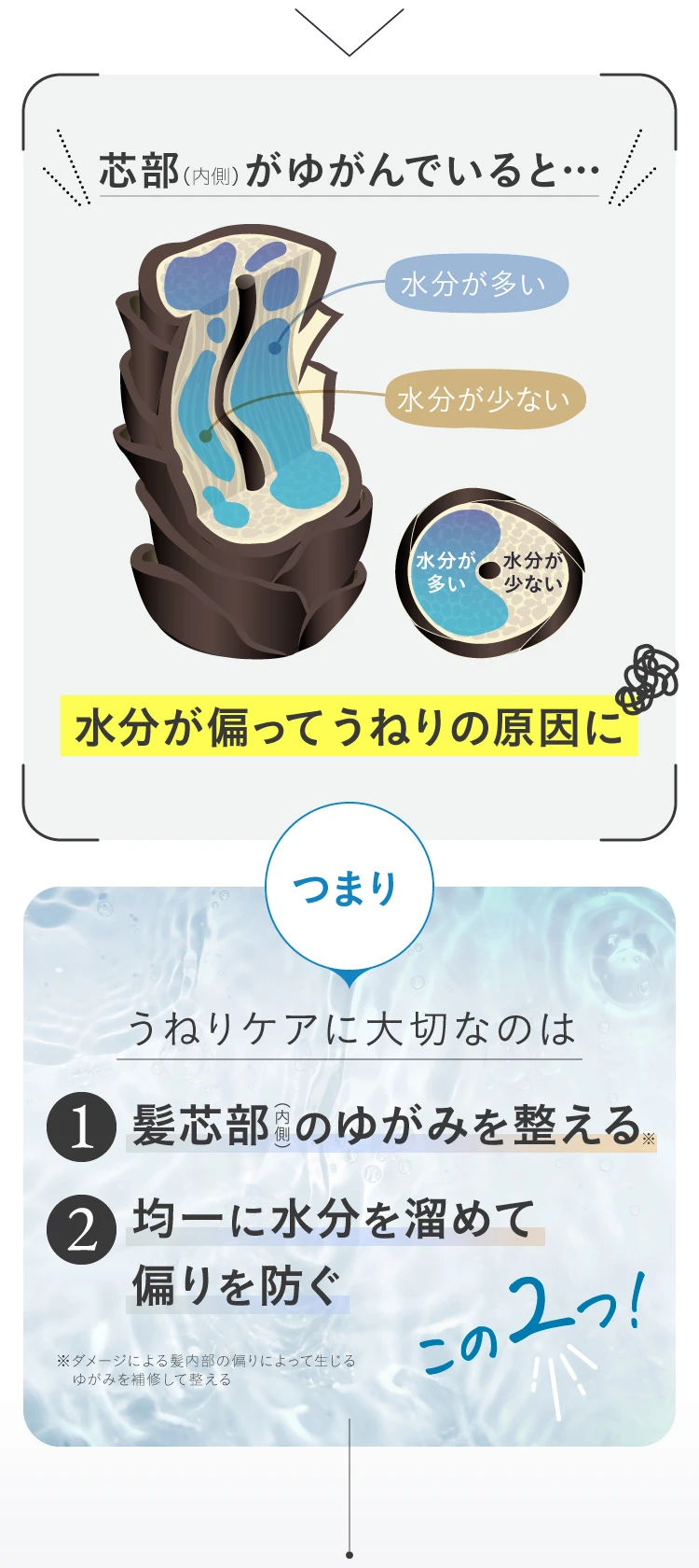 髪の芯部がゆがんでいると、水分が偏りうねりの原因に