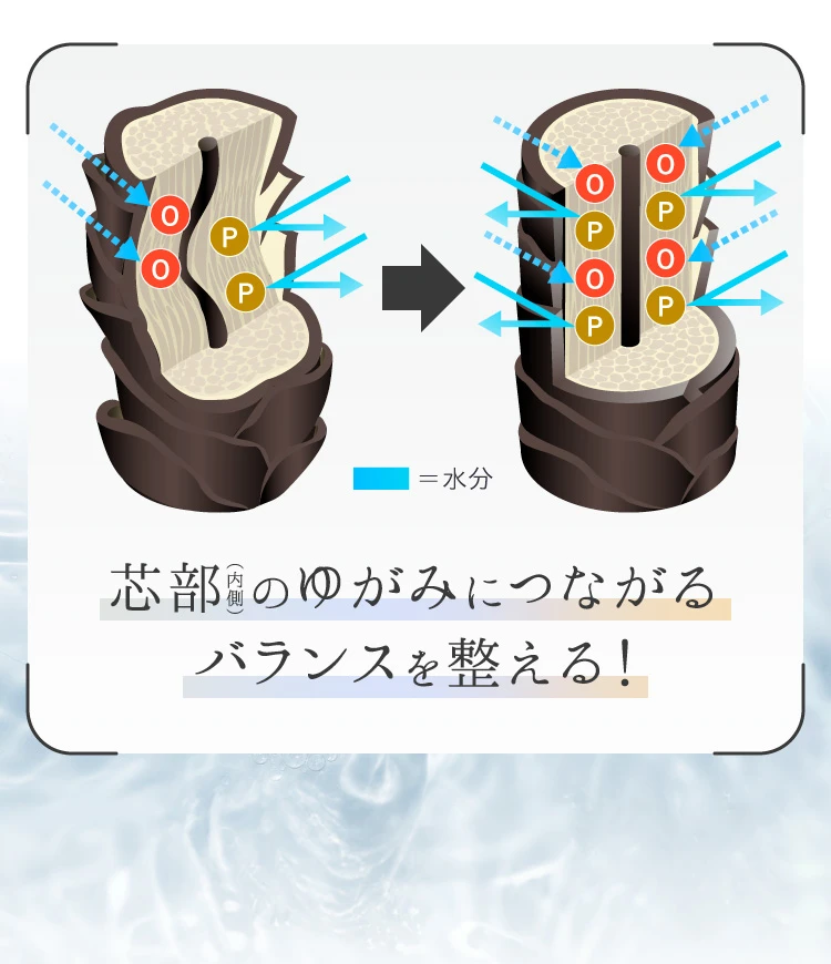 芯部のゆがみにつながるバランスを整える！