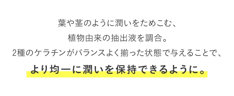 植物由来の抽出液が2種のケラチンのバランスよく揃っている状態で与えられ、より均一に潤いを保持