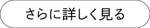 さらに詳しく見る(商品ページに遷移します)