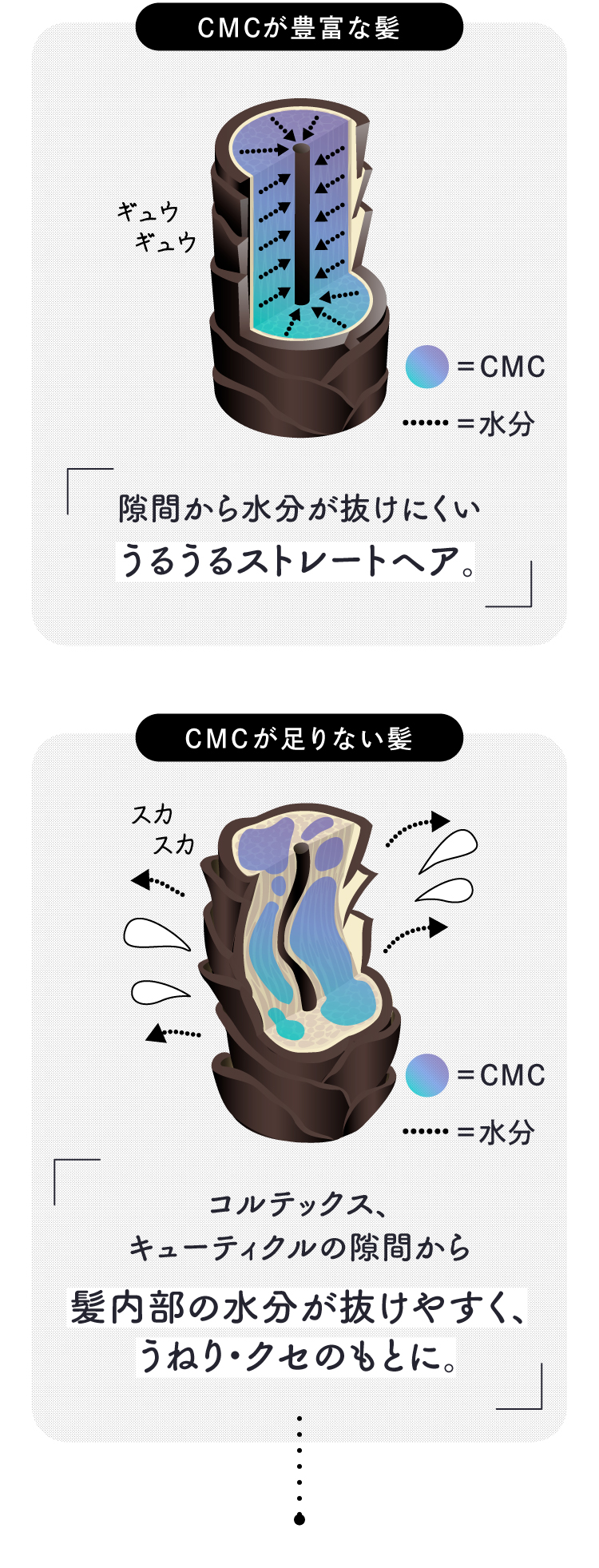 CMCが豊富な髪と足りない髪の比較図解