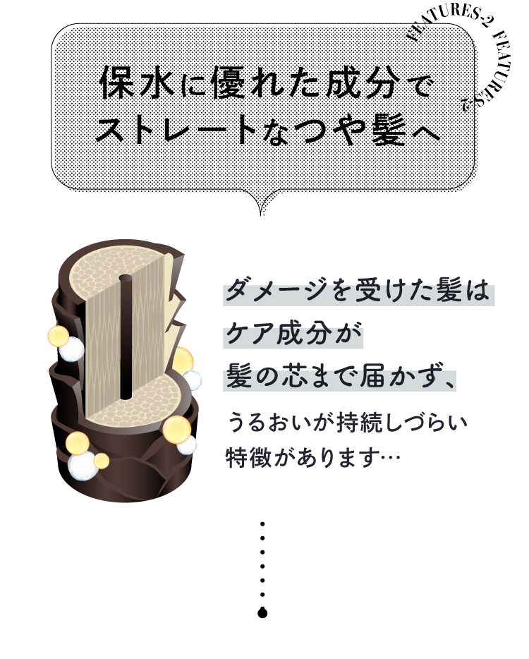 保水に優れた成分でストレートなつや髪へ
