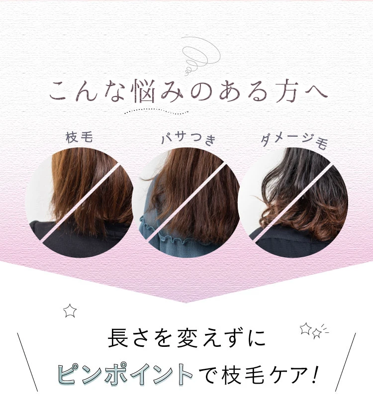 枝毛ページ ポイントケアカッター strainia (ストレーニア) | amepla