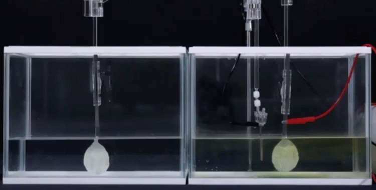 マヨネーズを使った分解実験　gif