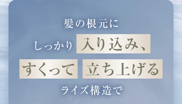 髪の根元に入り込み立ち上げるライズ構造