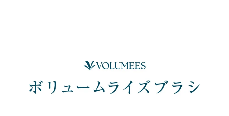 ボリュームライズブラシ 商品名