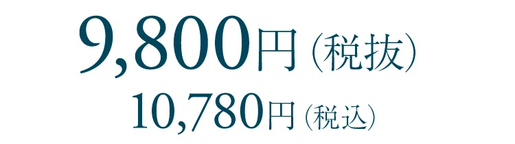 ボリュームライズブラシ 製品価格