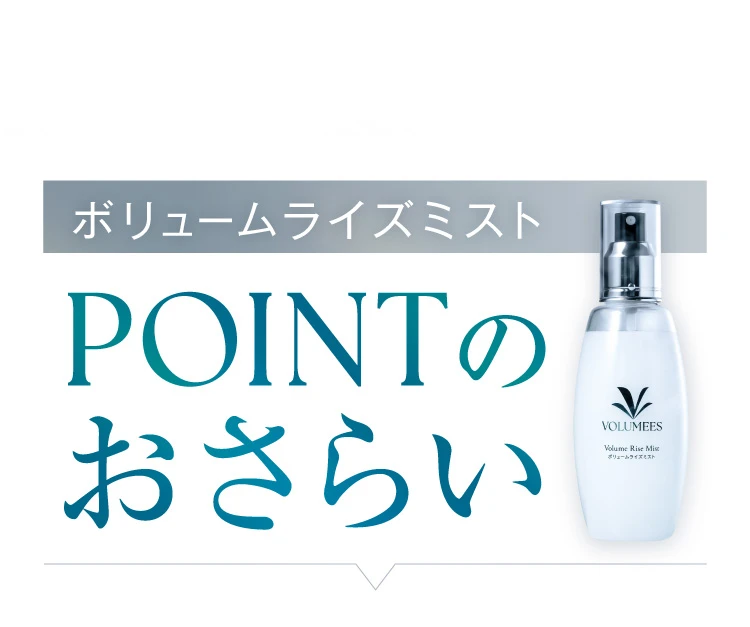 ボリュームライズミスト POINTのおさらい
