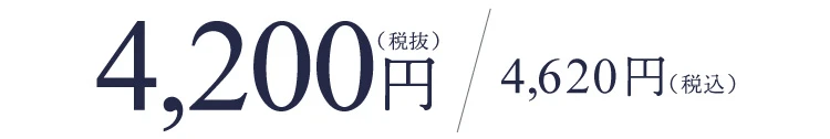ボリュームライズミスト 製品価格