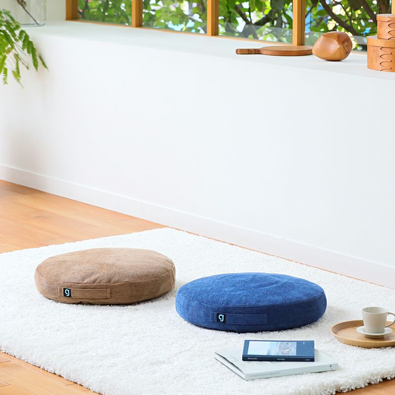 シェイプディスク gymterior(ジムテリア) | amepla